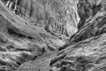 Little Wild Horse Canyon, San Rafael Swell, Utah, USA 37