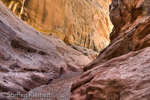 Little Wild Horse Canyon, San Rafael Swell, Utah, USA 38