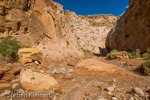 Little Wild Horse Canyon, San Rafael Swell, Utah, USA 40