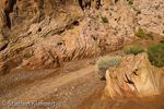 Little Wild Horse Canyon, San Rafael Swell, Utah, USA 43