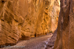 Little Wild Horse Canyon, San Rafael Swell, Utah, USA 44