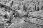 Little Wild Horse Canyon, San Rafael Swell, Utah, USA 47