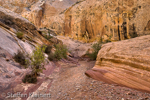 Little Wild Horse Canyon, San Rafael Swell, Utah, USA 48