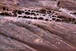 Little Wild Horse Canyon, San Rafael Swell, Utah, USA 55