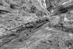 Little Wild Horse Canyon, San Rafael Swell, Utah, USA 78