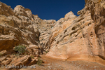 Little Wild Horse Canyon, San Rafael Swell, Utah, USA 81