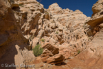 Little Wild Horse Canyon, San Rafael Swell, Utah, USA 84