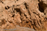 Little Wild Horse Canyon, San Rafael Swell, Utah, USA 85