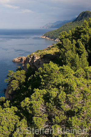 001 Mallorca - Serra de Tramuntana