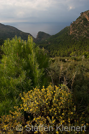 008 Mallorca - Serra de Tramuntana