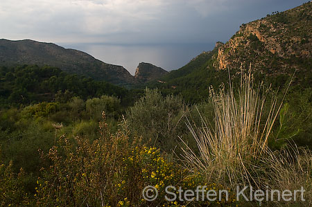 009 Mallorca - Serra de Tramuntana