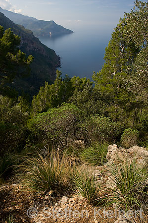 029 Mallorca - Port de Valdemossa