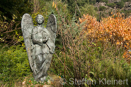 105 Mallorca - Kloster Lluc - Bot. Garten