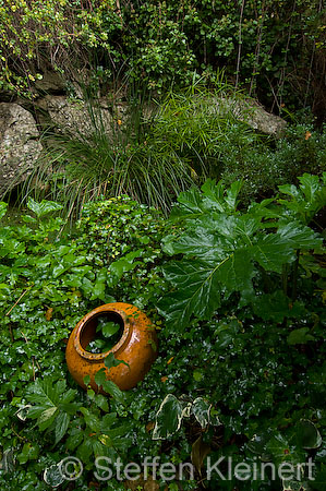 108 Mallorca - Kloster Lluc - Bot. Garten