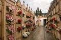 011 Mallorca - Friedhof in Andratx