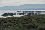 Mono Lake, California, Kalifornien, USA 24