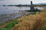 Mono Lake, California, Kalifornien, USA 28