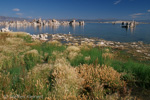 Mono Lake, California, Kalifornien, USA 32