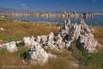 Mono Lake, California, Kalifornien, USA 34