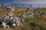 Mono Lake, California, Kalifornien, USA 35