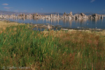 Mono Lake, California, Kalifornien, USA 36