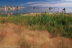 Mono Lake, California, Kalifornien, USA 37