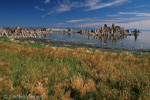 Mono Lake, California, Kalifornien, USA 39