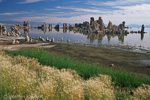 Mono Lake, California, Kalifornien, USA 40