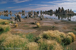 Mono Lake, California, Kalifornien, USA 42