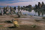 Mono Lake, California, Kalifornien, USA 43