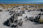 Mono Lake, California, Kalifornien, USA 18