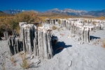 Mono Lake, California, Kalifornien, USA 19