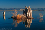 Mono Lake, California, Kalifornien, USA 28