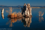 Mono Lake, California, Kalifornien, USA 31