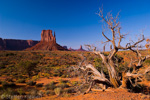 01 Monument Valley, Mitten Butte, Arizona, Utah, USA 12