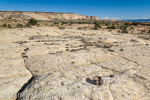 Moqui Hill, Moki Hill, GSENM, Utah, USA 03