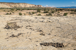 Moqui Hill, Moki Hill, GSENM, Utah, USA 17