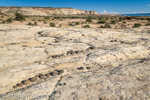 Moqui Hill, Moki Hill, GSENM, Utah, USA 18