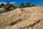 Moqui Hill, Moki Hill, GSENM, Utah, USA 19