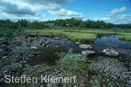 norwegen - dovrefjell 003