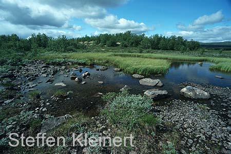 norwegen - dovrefjell 003