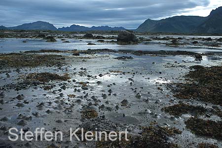 norwegen - lofoten 061