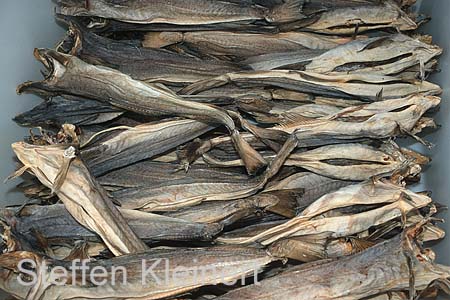 norwegen - lofoten stockfisch 055