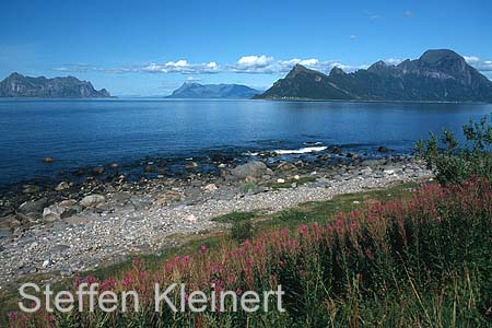 norwegen - salta gebiet 035