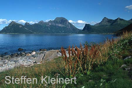 norwegen - salta gebiet 036