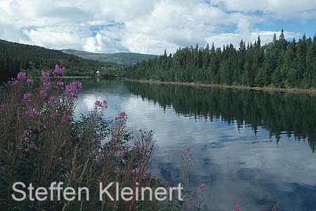 norwegen 005