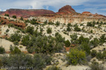 Paria Movie Set, GSENM, Utah, USA 09