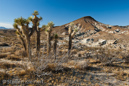 Red Rock Canyon SP of California, Kalifornien, USA 24