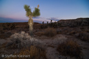 Red Rock Canyon SP of California, Kalifornien, USA 27