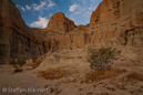 Red Rock Canyon SP of California, Kalifornien, USA 33